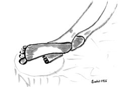 bild-37