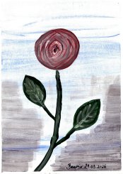 bild-5
