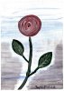 bild-5